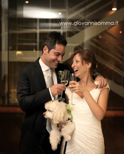 Giovanni Somma Photography,  Fotografo Matrimonio,   Sorrento, Ravello, Positano, Fotografo Matrimonio Castellammare di Stabia, Fotografo Gragnano, Napoli,  Nozze, Sposi, Bride, Groom,  Capri, Amalfi, Cane, Animali  (1)