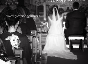 Giovanni Somma Photography,  Fotografo Matrimonio,   Sorrento, Ravello, Positano, Fotografo Matrimonio Castellammare di Stabia, Fotografo Gragnano, Napoli,  Nozze, Sposi, Bride, Groom,  Capri, Amalfi, Cane, Animali  (3)